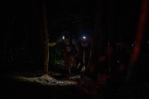 BIB: 
                            <button type="button" onclick="openModal(19208979)" class="btn btn-primary btn-sm float-right btn-popup" data-toggle="modal" data-target=".modal-high-quality">
                        <i class="fas fa-shopping-cart"></i> Add to Cart
                    </button>
                                            <button type="button" onclick="isThisMe(19208979, true)" class="btn btn-success btn-sm float-right btn-popup btn-isme hidden" data-toggle="tooltip" data-placement="bottom" title="นี่คือรูปของคุณใช่ไหม คลิกที่นี่เพื่อเอาเข้าอัลบั้ม">
                        <i class="fas fa-plus"></i> Add to album
                    </button>
                    <button type="button" onclick="isThisMe(19208979, false)" class="btn btn-warning btn-sm float-right btn-popup btn-isnotme hidden">
                        <i class="fas fa-ban"></i> Remove from album
                    </button>